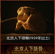 pic/bjr/2/北京人下颔骨.jpg