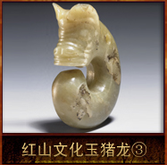 pic/hswh/2/红山文化玉猪龙3.jpg