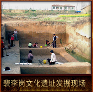 pic/plgwh/2/裴李岗文化遗址发掘现场.jpg