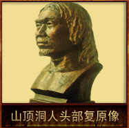 pic/sddr/2/山顶洞人头部复原像.jpg