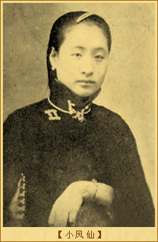 蔡锷和小凤仙：小凤仙